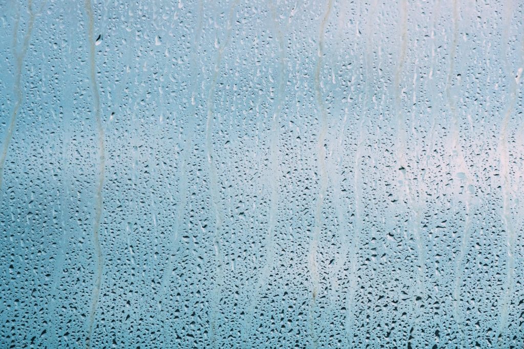 Kylmä suihku päivässä muuttaa elämäsi – 15 tieteellistä faktaa